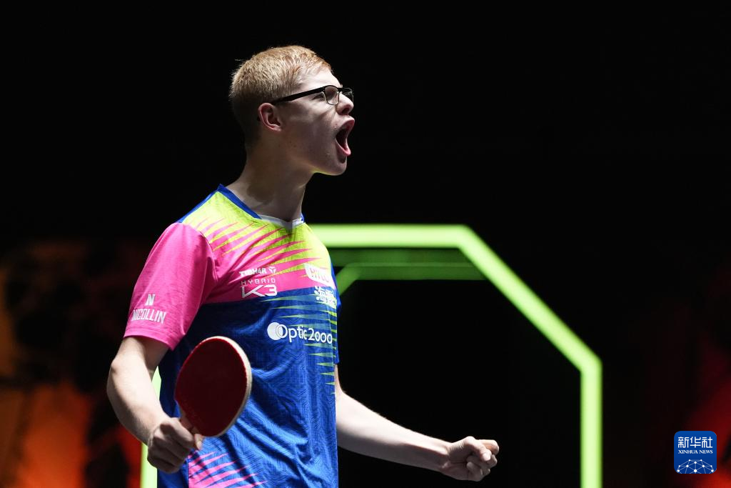 的常青樹皇 的常青樹皇